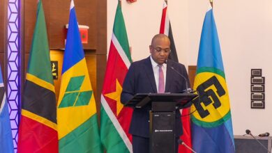 Photo of COFCOR Chair calls for action-oriented, people-focused foreign policy engagement