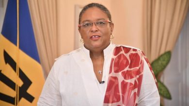 Photo of CARICOM Chair addresses 73rd World Health Assembly
