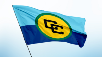 Photo of Statement | CARICOM Council for Foreign and Community Relations (COFCOR) | Ongoing Situation in Gaza and the Middle East