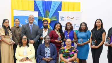 Photo of Sustainable energy trailblazers share their passions, perspectives