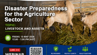 Photo of Food for Lunch on Friday focuses on livestock
