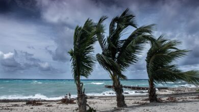 Photo of Webinar series aims to prepare agriculture sector for 2025 hurricane season