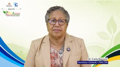 Photo of Jamaica hosting 20th CWA “a powerful symbol of resilience, recovery, and regional solidarity” – SG