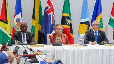 Photo of COTED-Environment Chair calls for integrated regional action to unlock climate and environmental financing