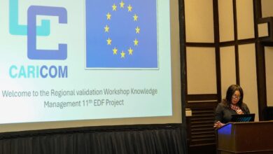 Photo of Regional Information Technology stakeholders review CARICOM Knowledge Management Web Portal and Framework