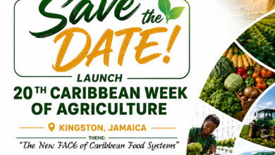 Photo of 20th Caribbean Week of Agriculture launches 21 May