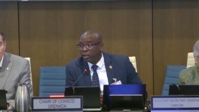 Photo of COHSOD–Health Chair Urges Stronger Health Systems to Withstand Climate and Financial Shocks