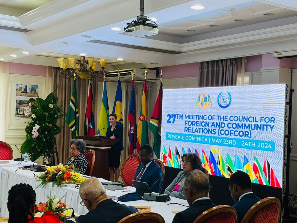 Remarks By The Outgoing Chair Of The Council For Foreign And Community Remarks By The Outgoing Chair Of The Council For Foreign And Community