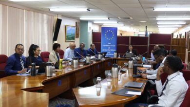 Photo of Wider Caribbean Cooperation emphasised in recent CARIFORUM Talks