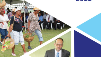 Photo of Annual Report 2011