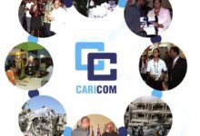 Annual Report 2010