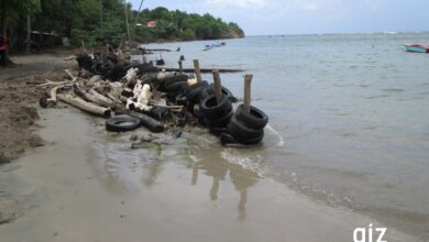Photo of Caribbean Partners, German Development Cooperation Team Up to Advance Circular Economy and Bio-Waste Solutions