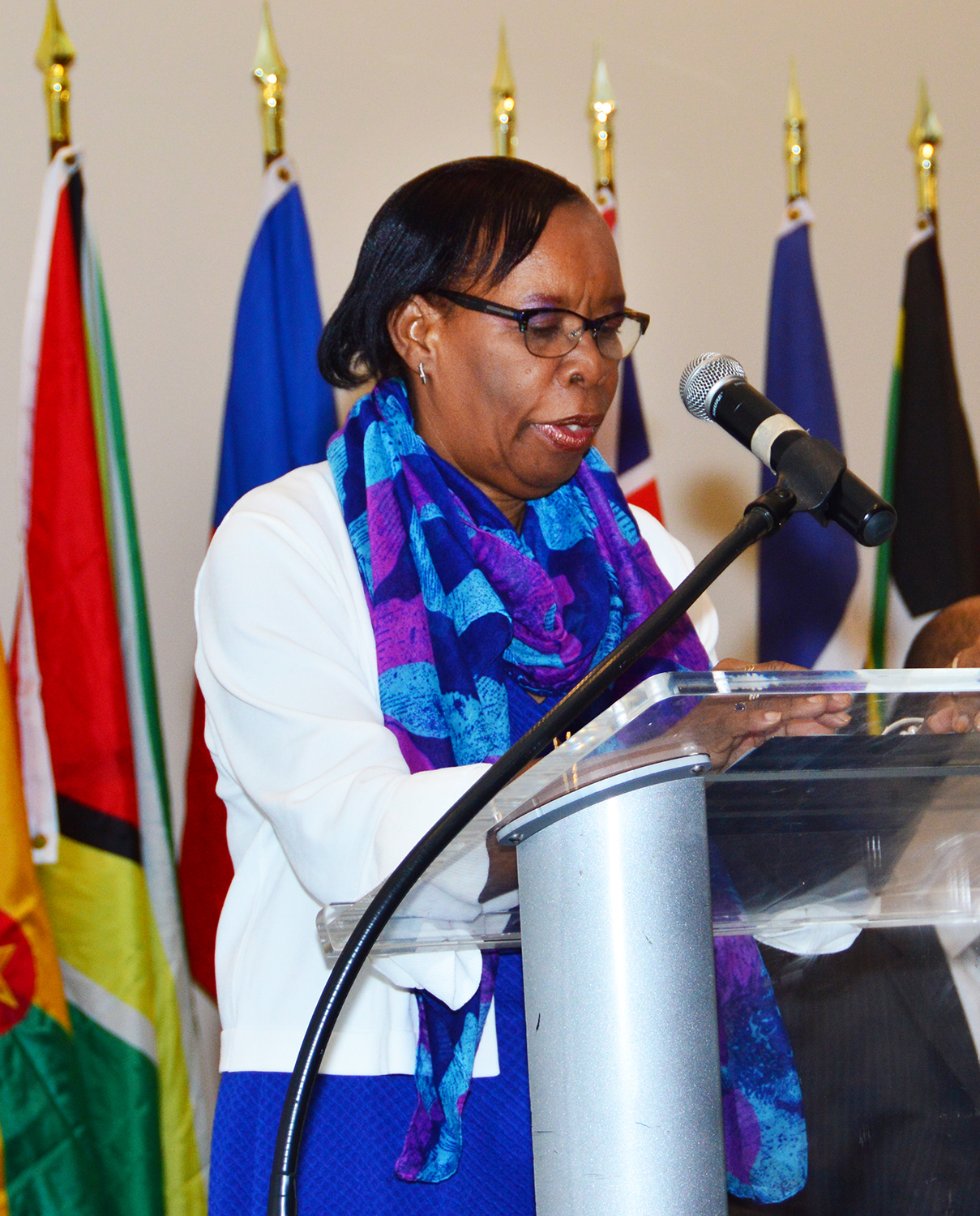 Photo of Statistics must play vital role in reconstruction of hurricane-hit islands – Dr. Philomen Harrison