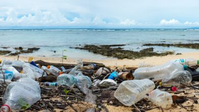 Photo of Appropriate policy critical to tackle plastic pollution – Sir Molwyn Joseph