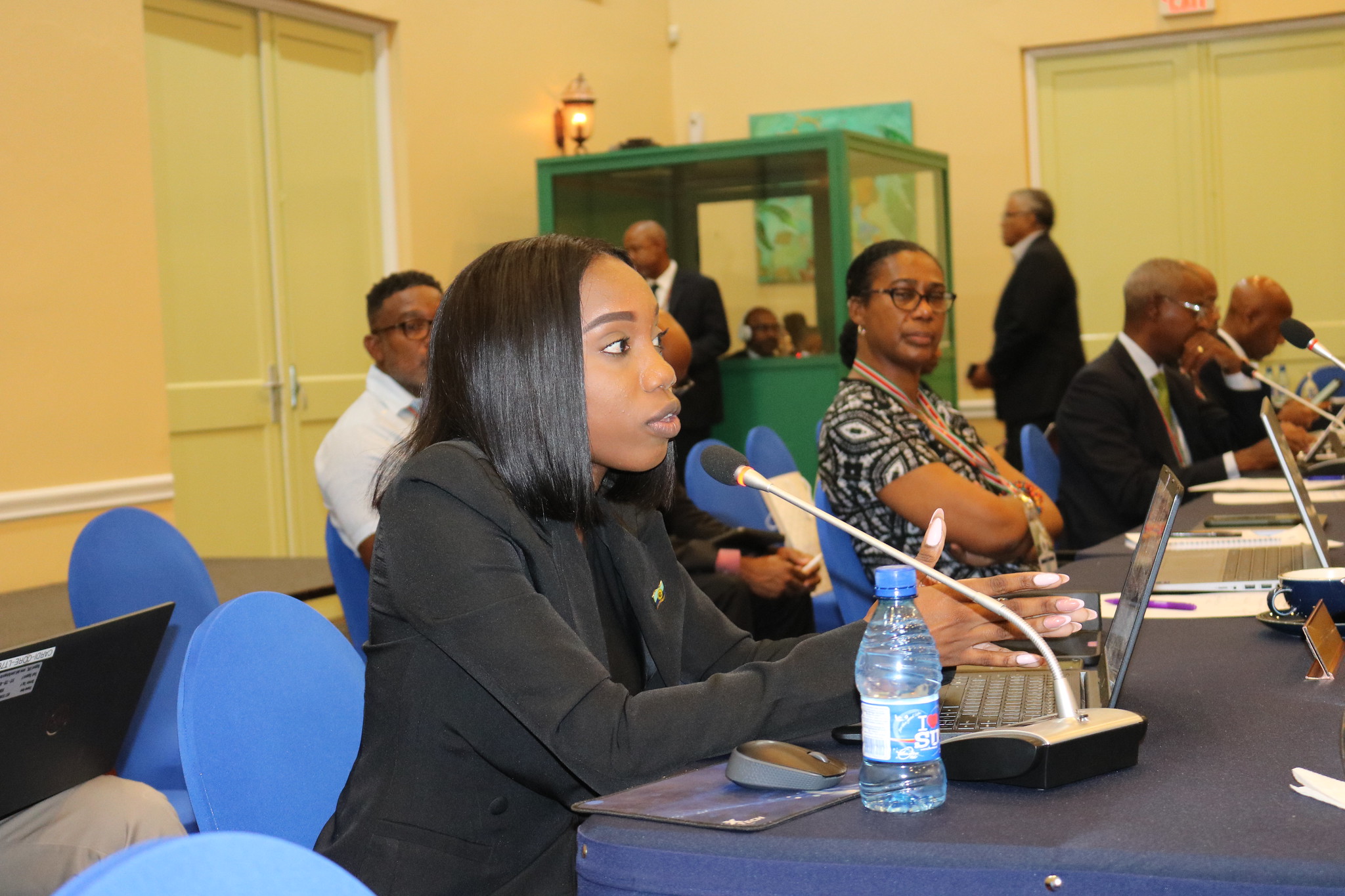 Dean of the CARICOM Youth Ambassador Corps, Renee Atwell, makes a presentation to Heads of Government of CARICOM