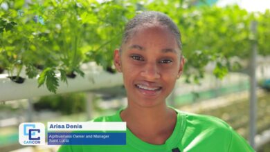 Photo of 🌱  From Vision to Impact: Arisa Denis Expands Sustainable Farming in Saint Lucia with CARICOM BOOST