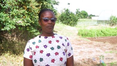 Photo of Kersha Roderick and CARICOM BOOST: Growing Together, Thriving Together!